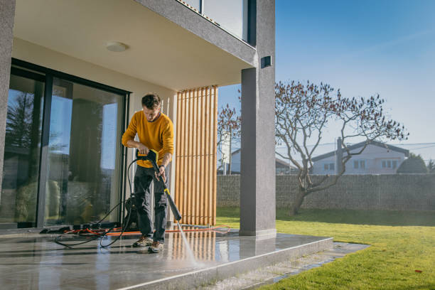 Best Driveway Pressure Washing  in Oak Grove, AL